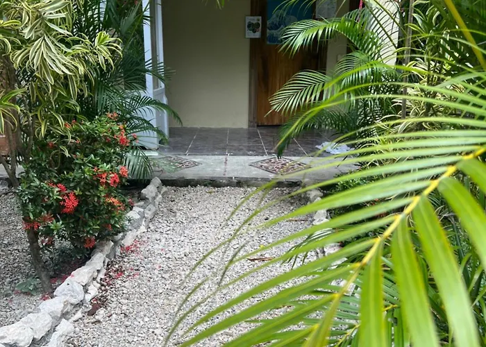 Woodstock Hostal